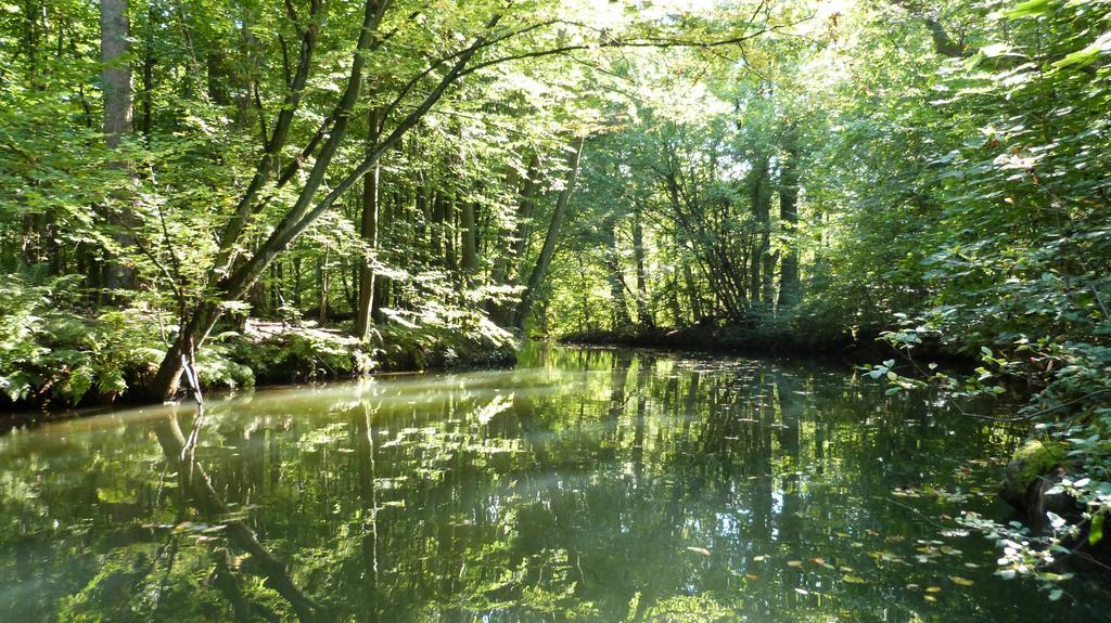 Gaestehaus Liubas Insel Kothen  ภายนอก รูปภาพ